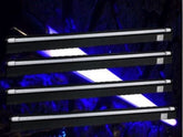 4x tubes UV LED puissants Showtec (1,2 m)